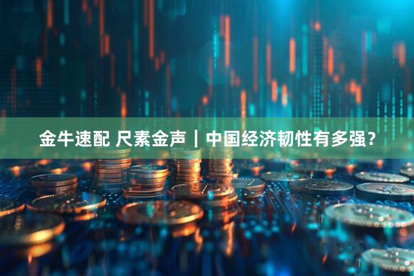 金牛速配 尺素金声｜中国经济韧性有多强？