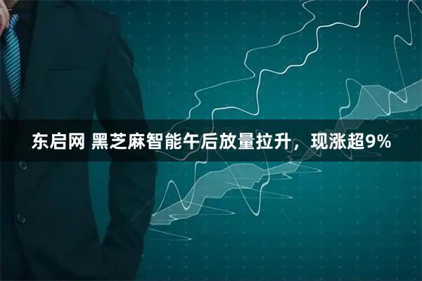 东启网 黑芝麻智能午后放量拉升，现涨超9%