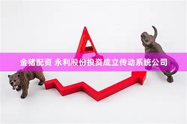 金猪配资 永利股份投资成立传动系统公司