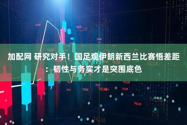 加配网 研究对手!国足观伊朗新西兰比赛悟差距:韧性与务实才是突围底色